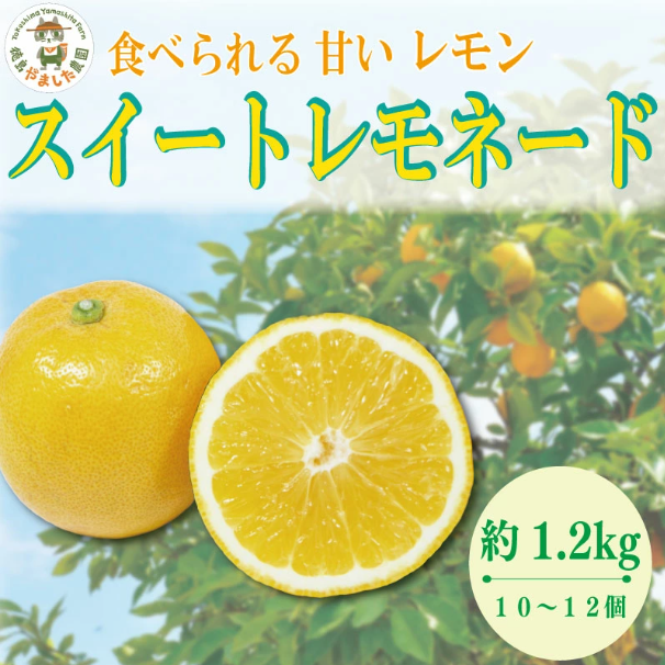 【先行予約】 【2026年10月上旬順次発送】 スイートレモネード 1.2kg (10～12個)  レモン れもん 檸檬 柑橘 フルーツ 果物 完熟 国産 ノーワックス 農家直送 新鮮 果汁 レモンサ